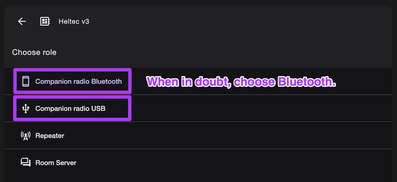 Firmware selection screen with Companion option highlighted